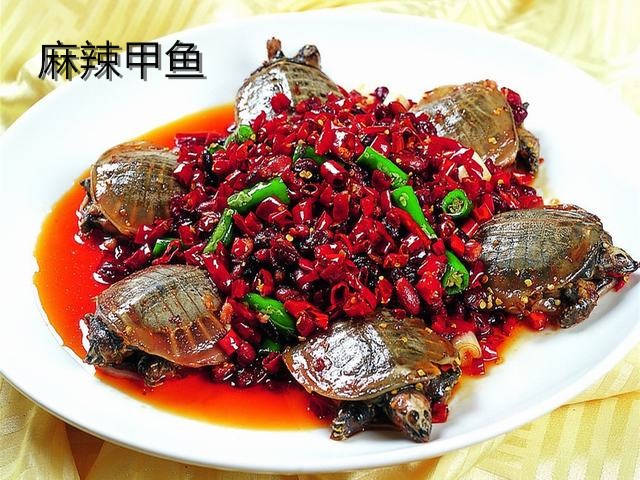 麻辣甲鱼